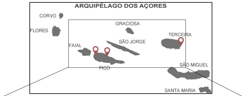 Sistema HIDRALERTA Açores